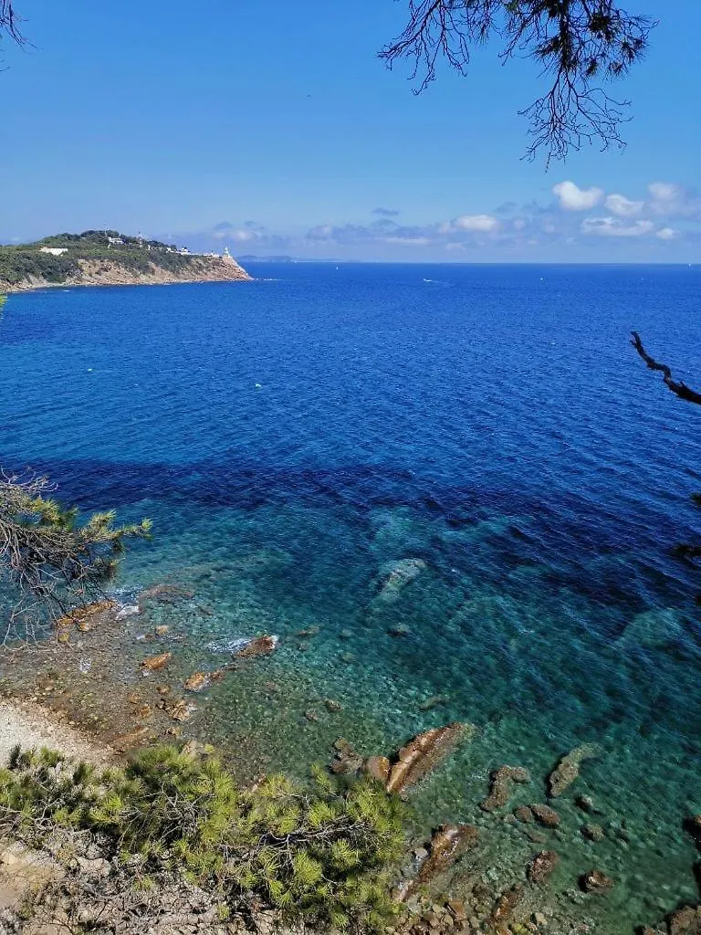 Petit Paradis Avec Jardin Et Clim T2 Saint-Mandrier-sur-Mer Apartment